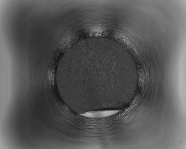 X0000095910661200801251011