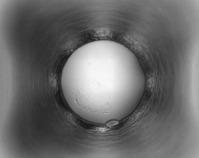 X0000095910662200801251011