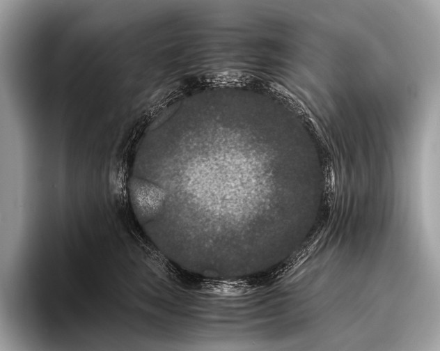 X0000095910663200801251011