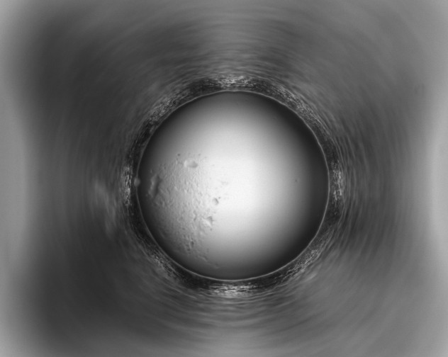 X0000095910664200801251011