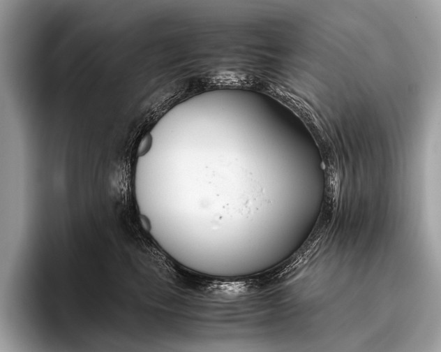 X0000095910665200801251011