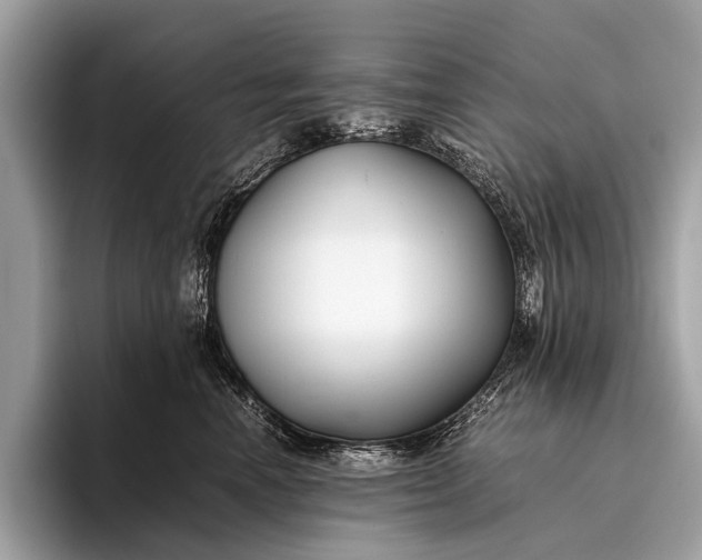 X0000095910666200801251011