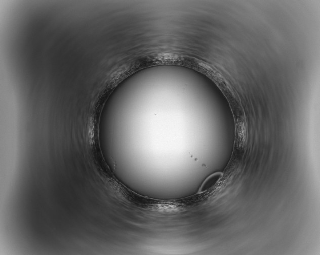 X0000095910668200801251011