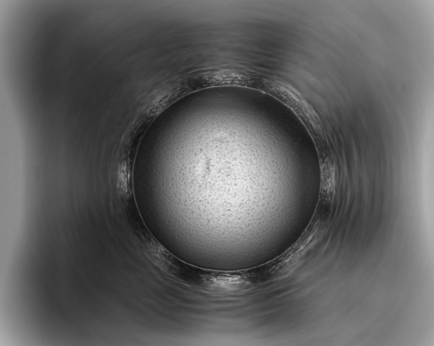 X0000095910669200801251011