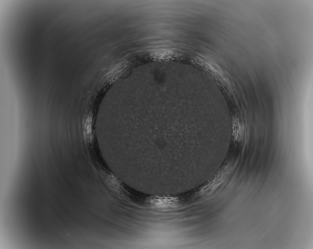 X0000095910670200801251011