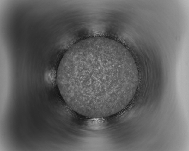 X0000095910672200801251011