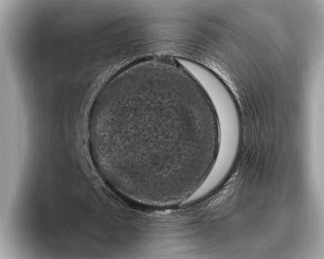 X0000095910673200801251010