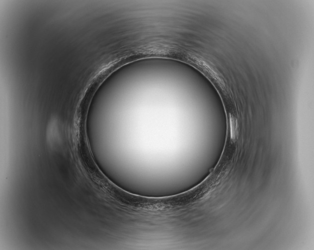 X0000095910675200801251010