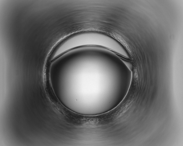 X0000095910676200801251010