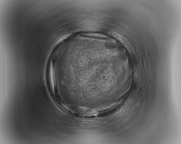 X0000095910677200801251010