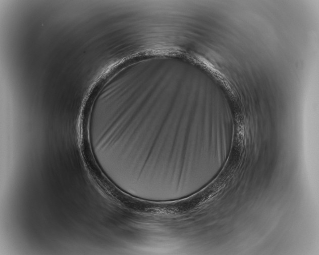 X0000095910678200801251010