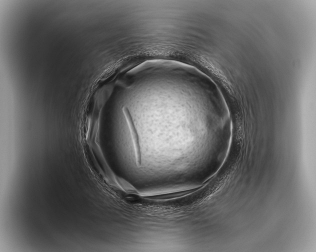 X0000095910681200801251010