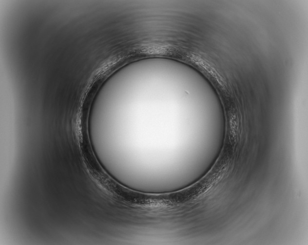 X0000095910682200801251010