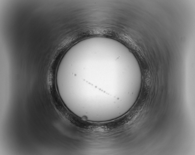 X0000095910683200801251010