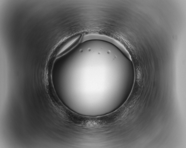 X0000095910684200801251010