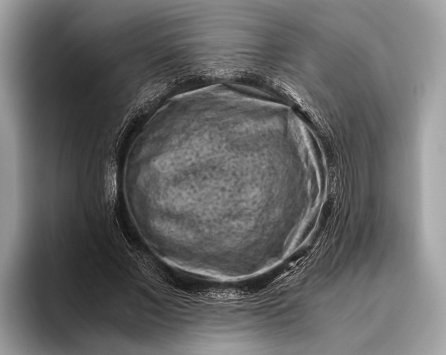 X0000095910685200801251010