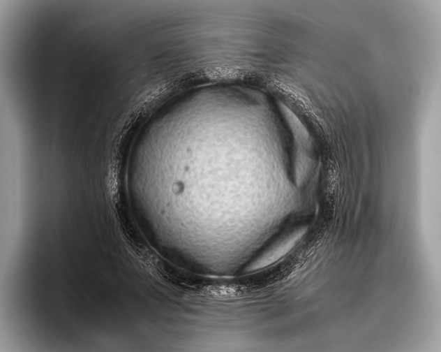 X0000095910687200801251010