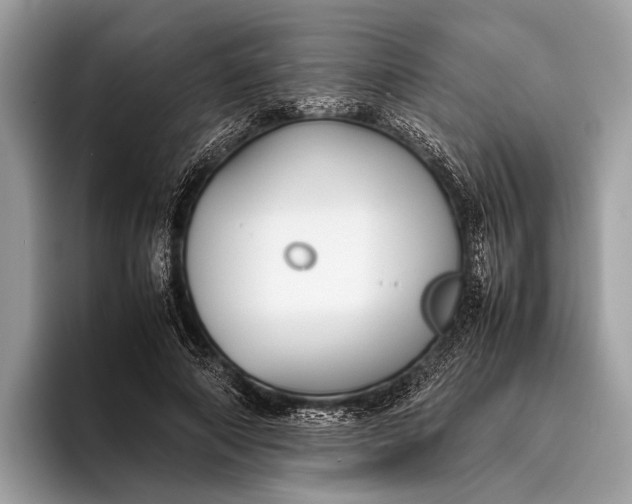 X0000095910690200801251010