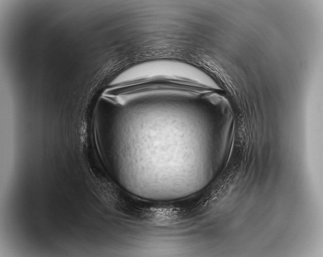 X0000095910693200801251010