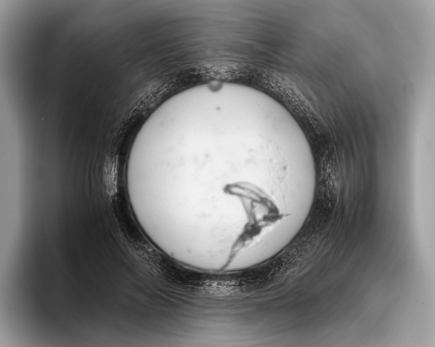 X0000095910694200801251010