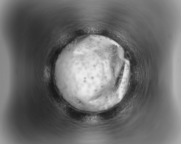 X0000095910695200801251010