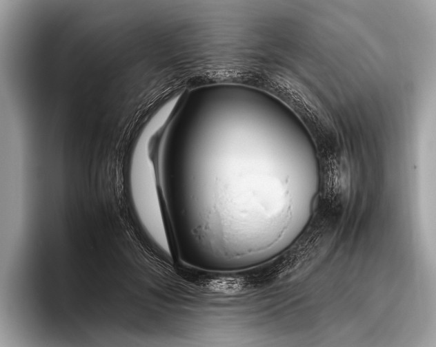 X0000095910700200801251010