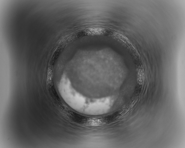 X0000095910701200801251010