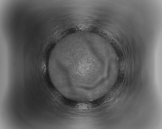 X0000095910703200801251010