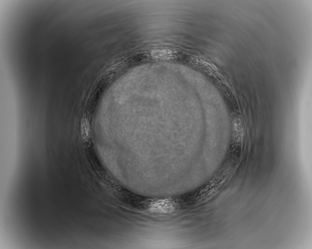 X0000095910705200801251010