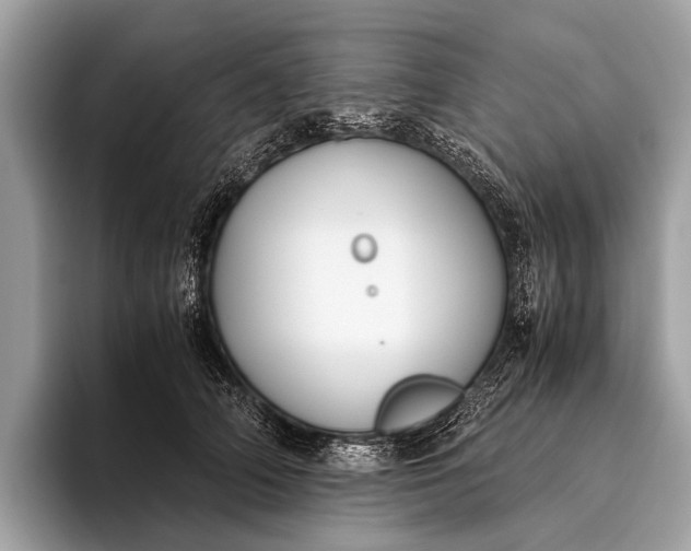 X0000095910706200801251010