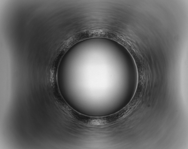 X0000095910708200801251010