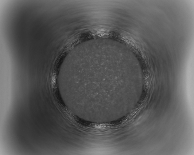 X0000095910709200801251010