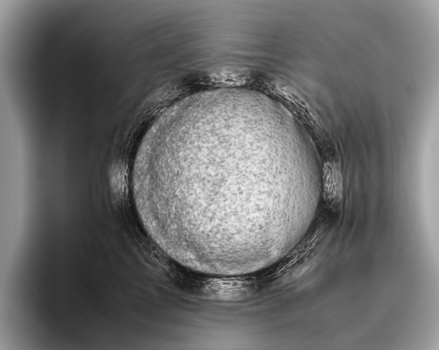 X0000095910713200801251010