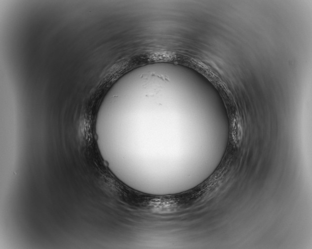 X0000095910714200801251010