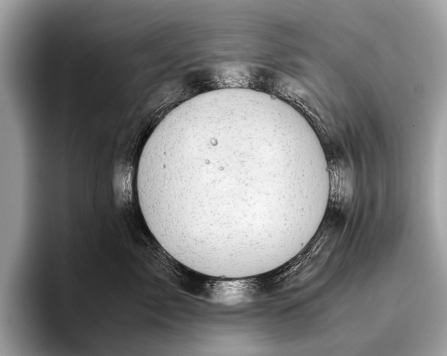 X0000095910717200801251010