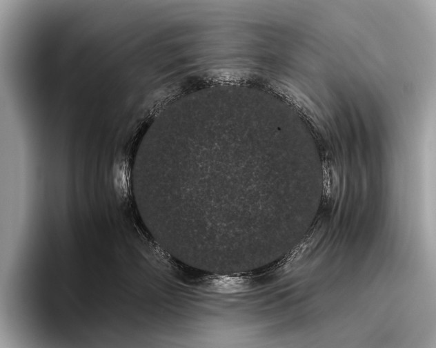 X0000095910718200801251010