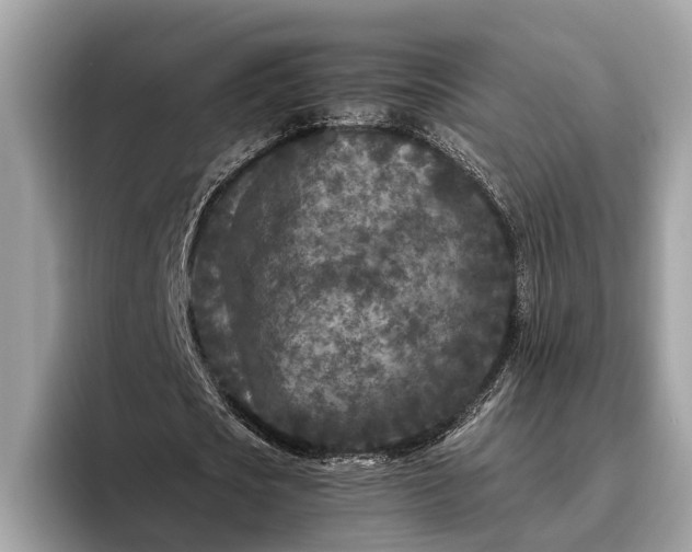 X0000095910721200801251009