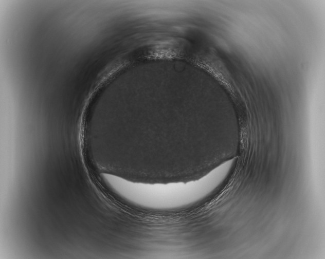 X0000095910722200801251009