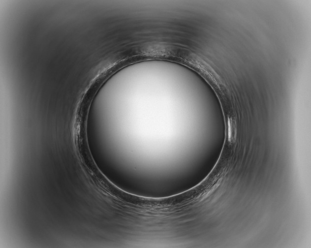 X0000095910723200801251009