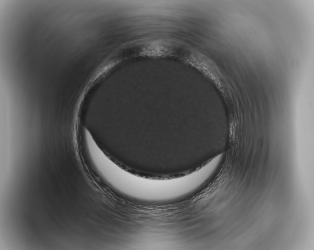 X0000095910724200801251009