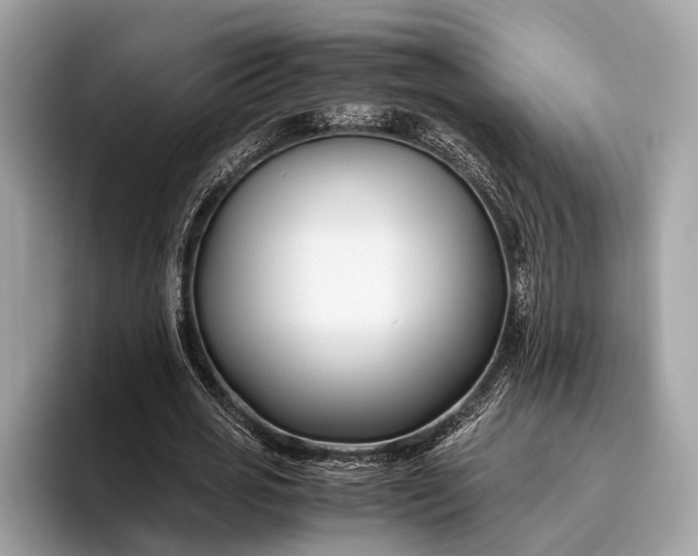 X0000095910725200801251009