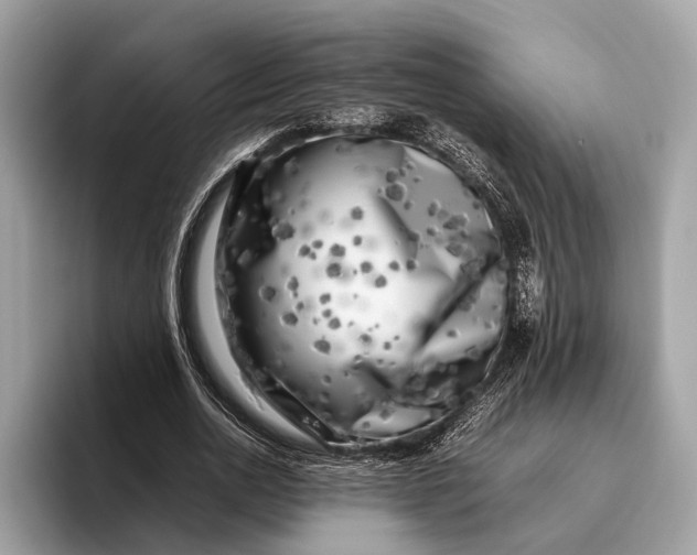 X0000095910726200801251009