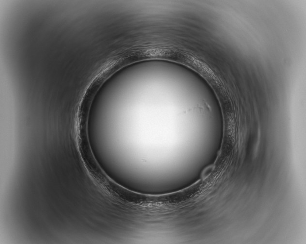 X0000095910730200801251009