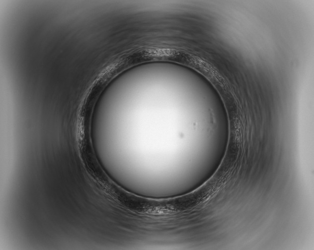 X0000095910731200801251009