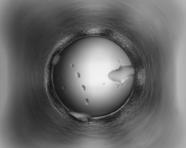 X0000095910732200801251009