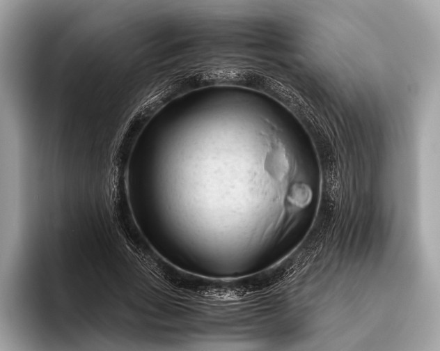 X0000095910735200801251009