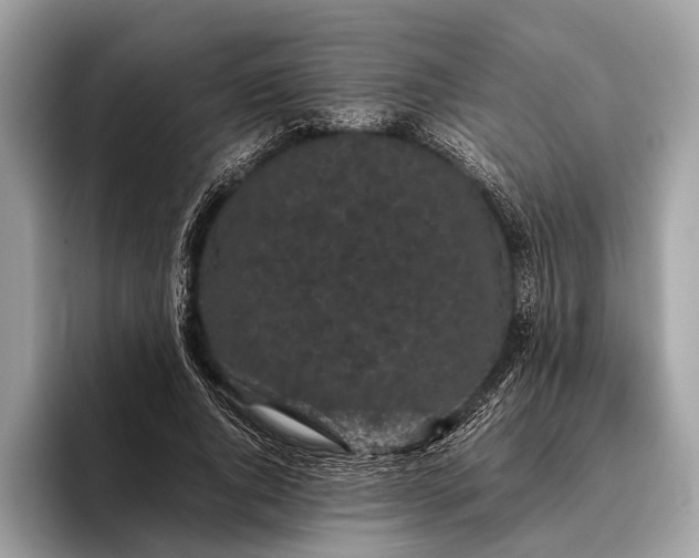 X0000095910736200801251009