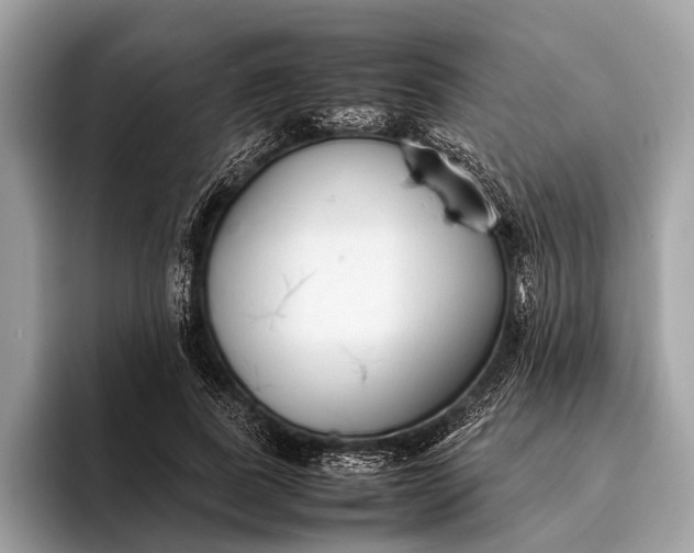 X0000095910739200801251009