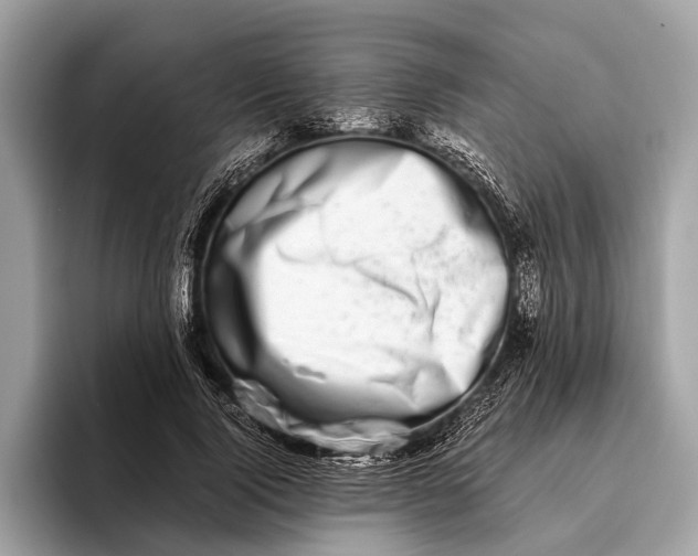 X0000095910740200801251009