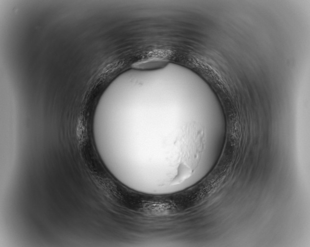 X0000095910743200801251009